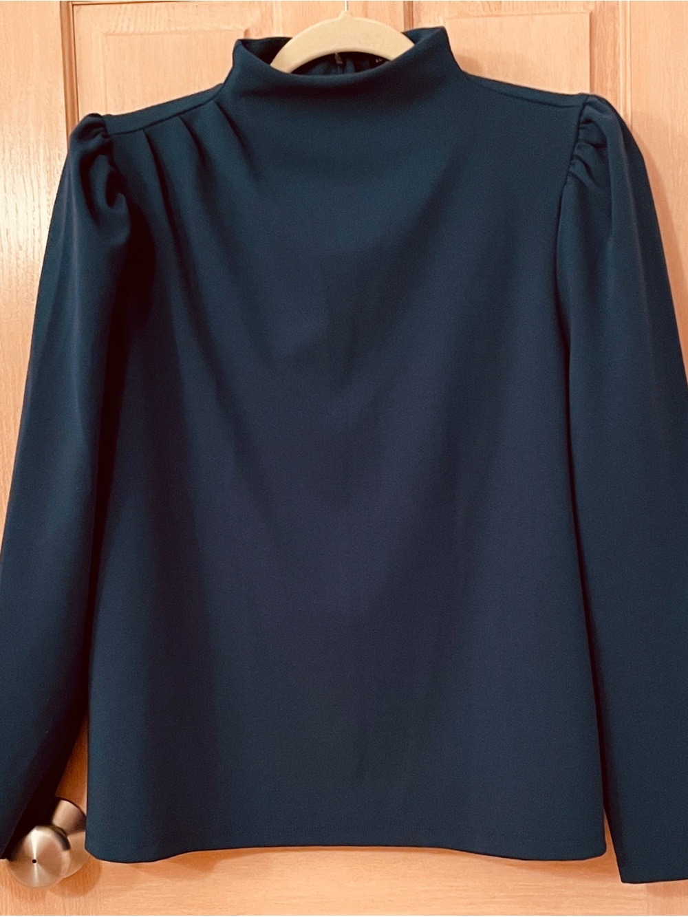 Ann Taylor Teal Mock Neck Long Sleeve Blouse